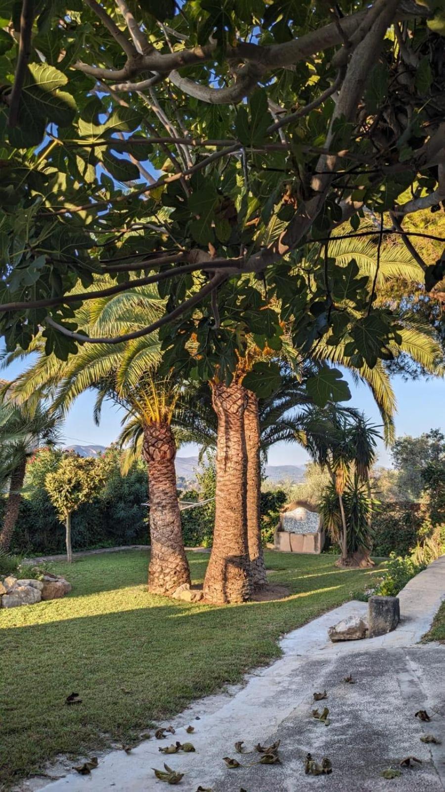 Ca Tosca Villa Jávea Eksteriør billede